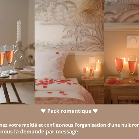 Le Cosy En Hypercentre Apartment